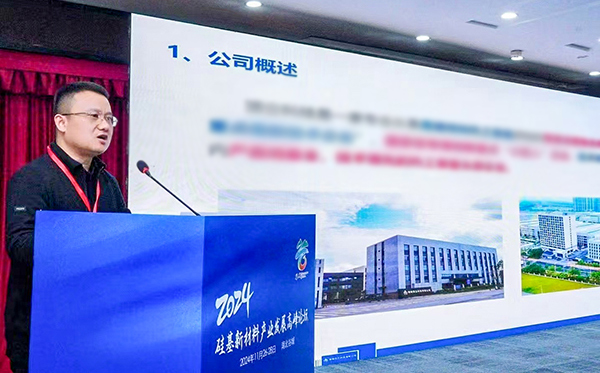頂立科技參加硅基新材料高峰論壇，分享高純石英制備熱工裝備最新技術